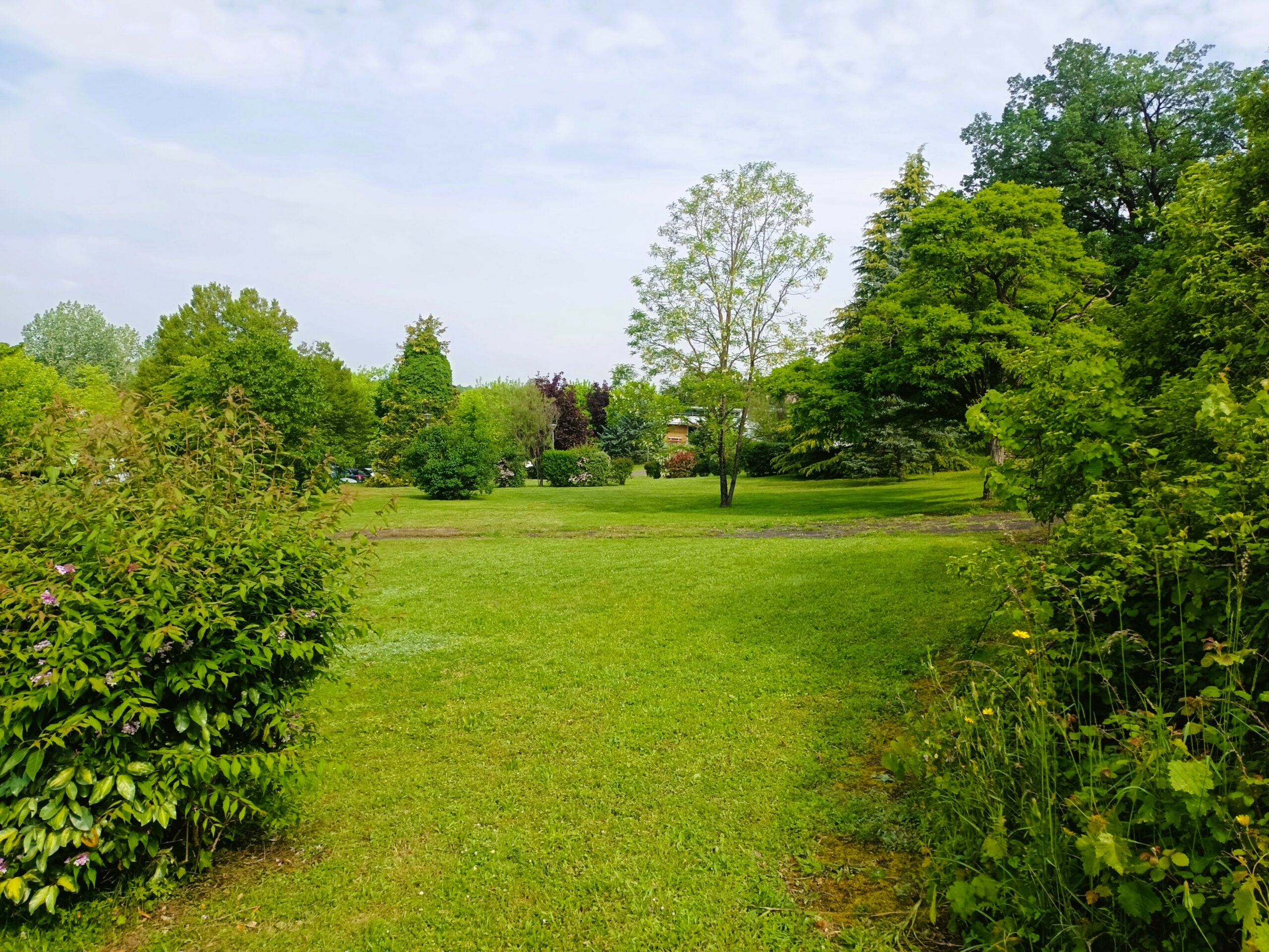 img 20230515 104409